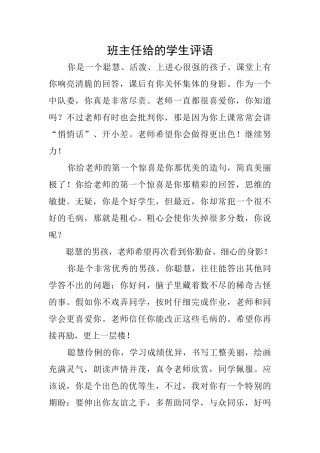 班主任给的学生评语