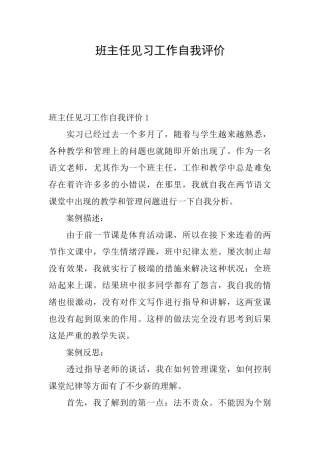 班主任见习工作自我评价