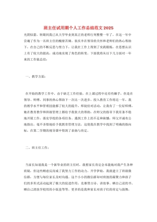 班主任试用期个人工作总结范文2025