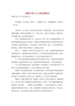 班级工作个人工作总结范文