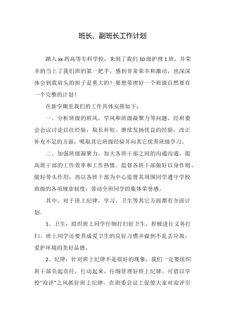 班长、副班长工作计划