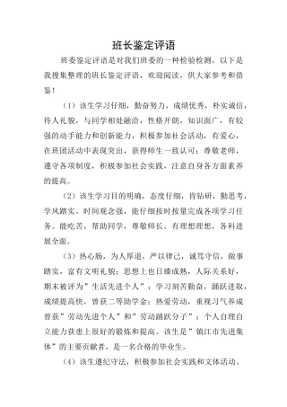 班长鉴定评语