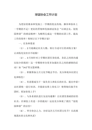 球谊协会工作计划