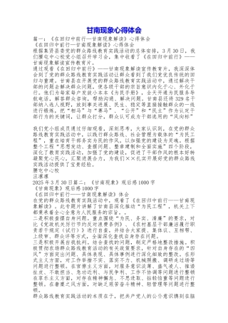 甘南现象心得体会