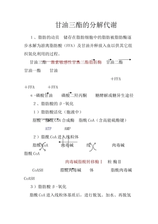 甘油三酯的分解代谢
