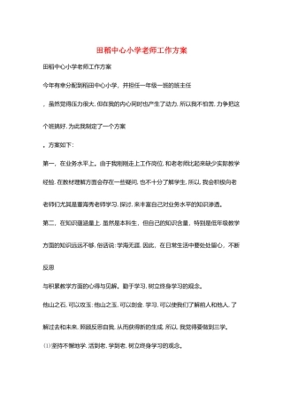 田稻中心小学教师工作计划