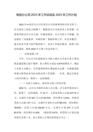电信分公司2025年工作总结及2025年工作计划