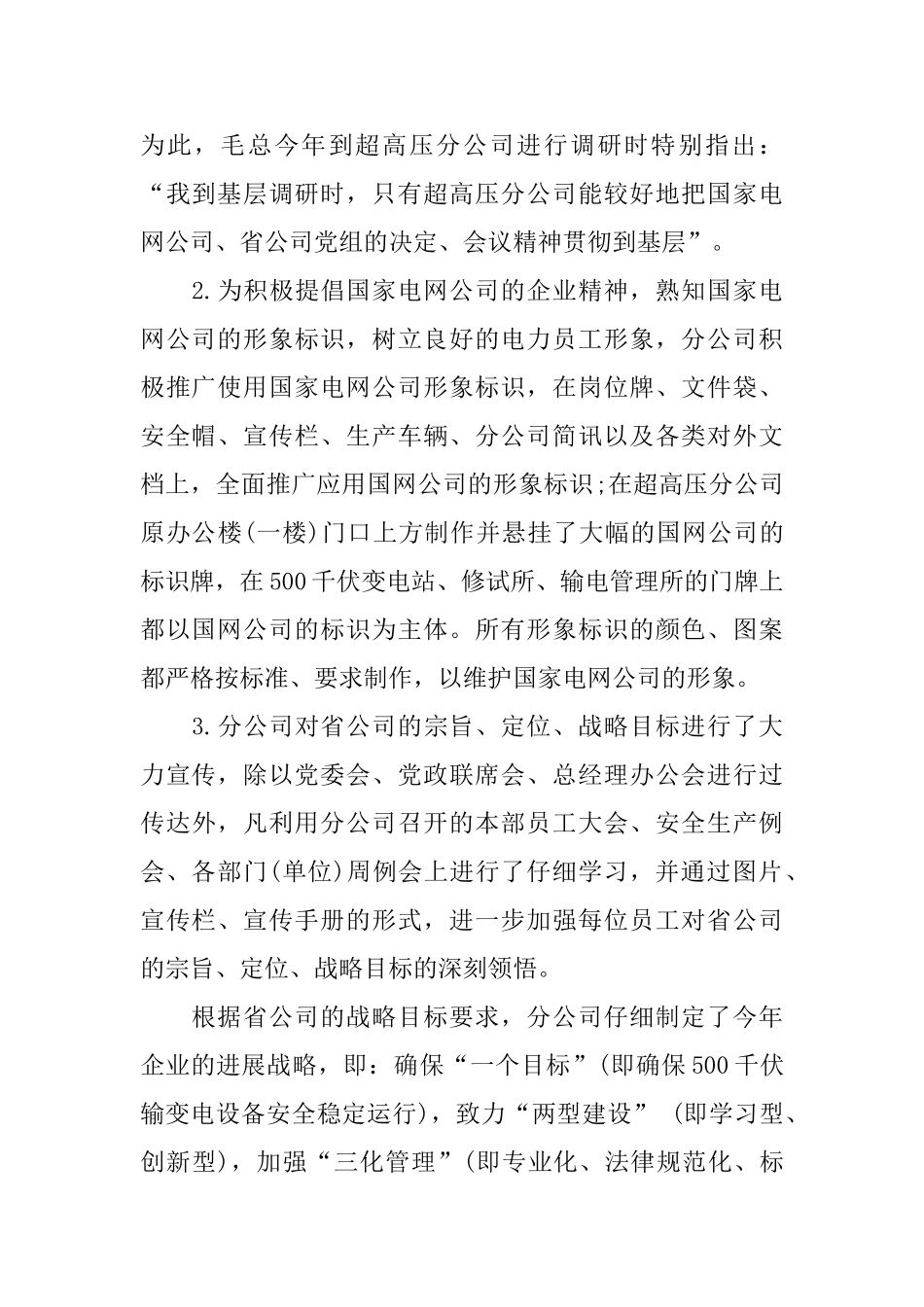 电力公司执行力情况自查报告范文_第2页