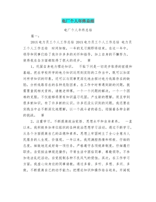 电厂个人年终总结