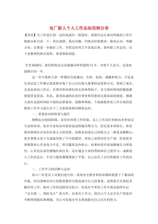 电厂新人个人工作总结范例分享