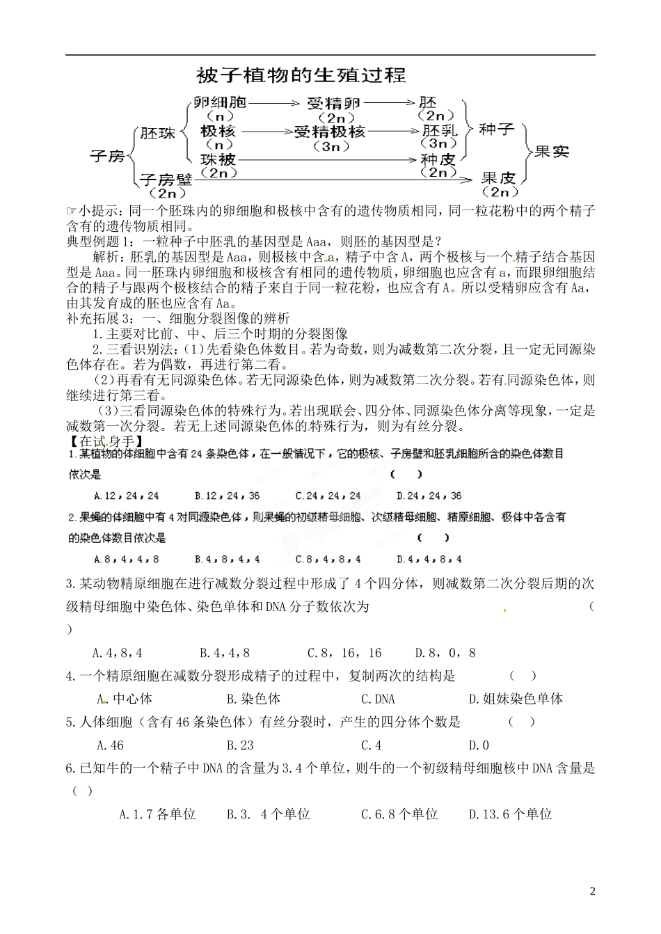 江西省南昌市新建一中2014年高中生物 第二章 第1节 减数分裂和受精作用（1）学案 新人教版必修2_第2页