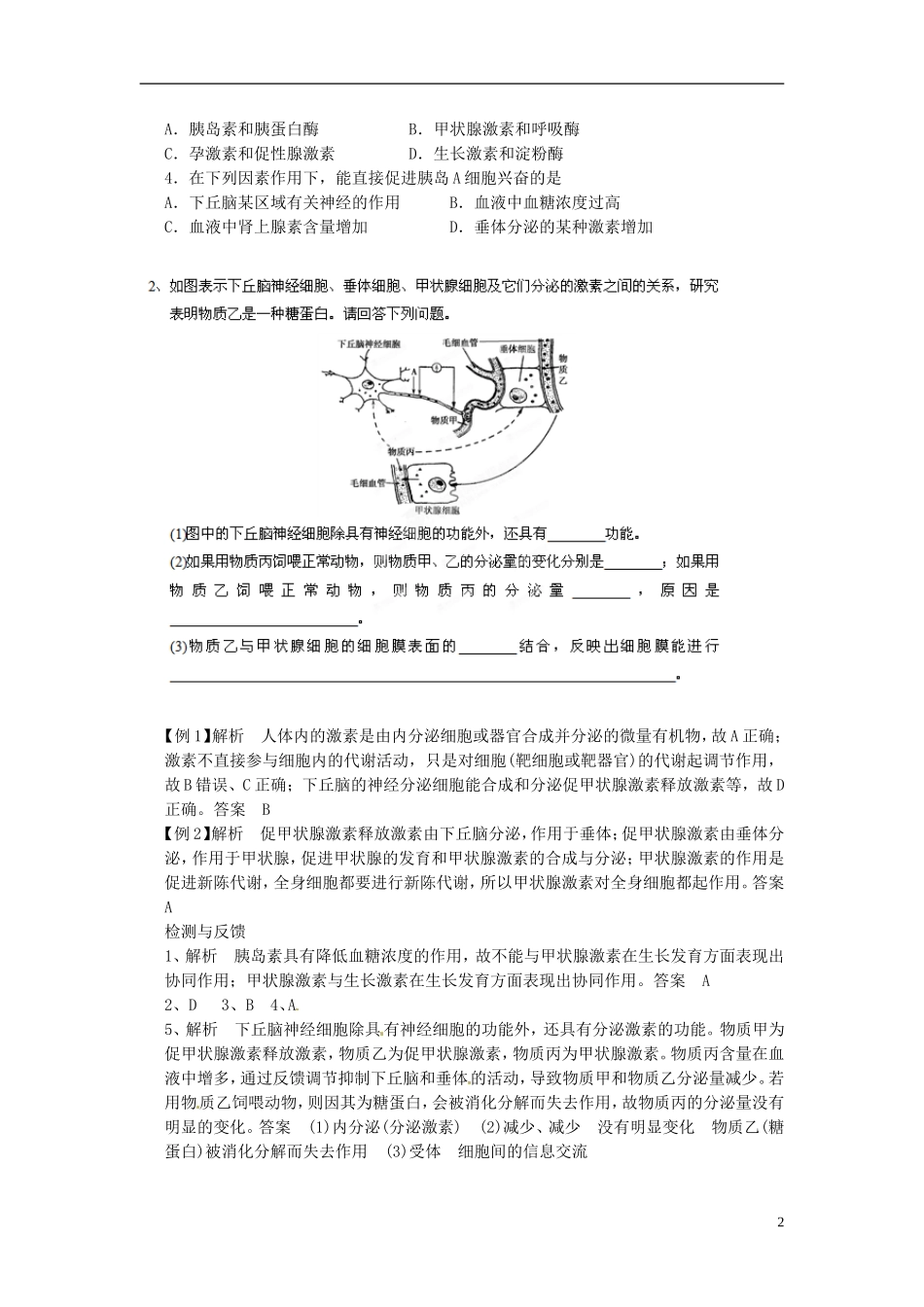 江西省南昌市新建一中2014年高中生物 第二章 第二节 通过激素调节（第2课时）学案 新人教版必修3_第2页
