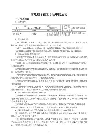 河北省重点中学2008届高考物理带电粒子在复合场中的运动经典课时教案
