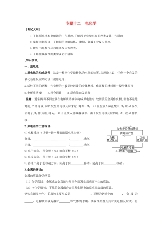 河南省商丘市高考化学第二轮复习 专题十二 电化学教学案-人教版高三全册化学教学案