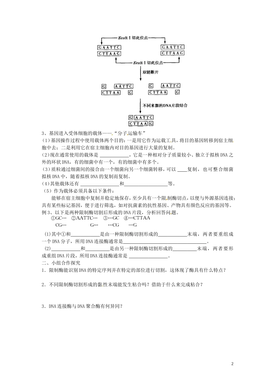 河南省灵宝市2012-2013学年高二上学期生物1.1《DNA重组技术的基本工具》导学案 新人教版_第2页