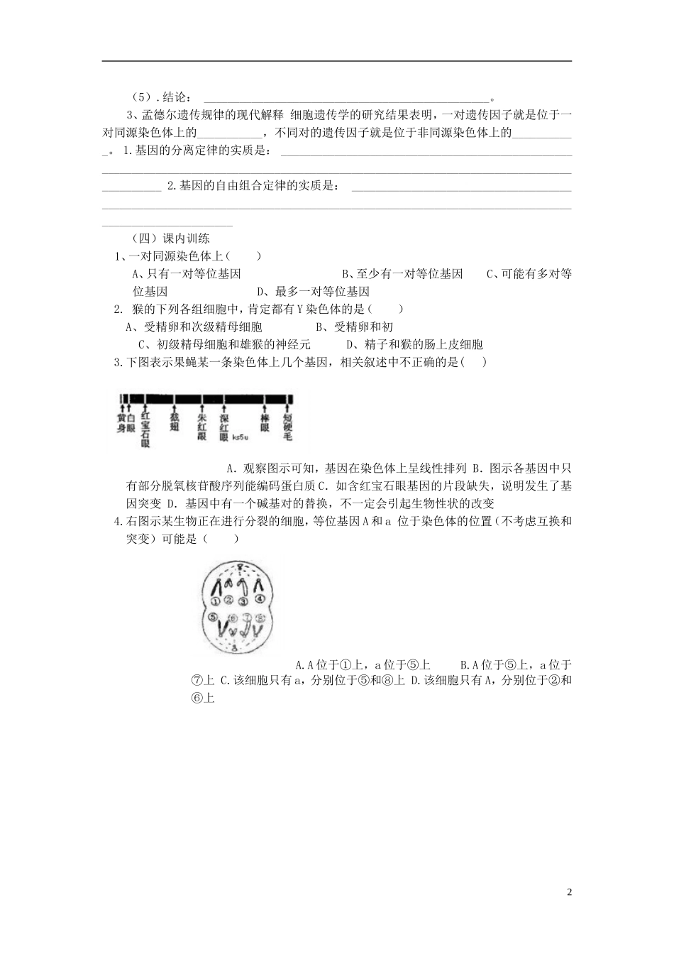 河南省淇县高级中学2012-2013学年高中生物 下学期2.2《基因在染色体上》导学案 新人教版_第2页