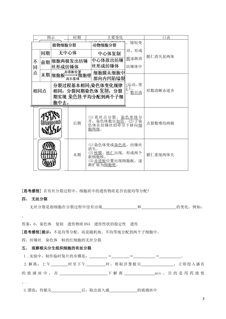 河南省沁阳市第一中学2013-2014学年高中生物 6.1细胞增殖导导学案 新人教版必修1_第3页