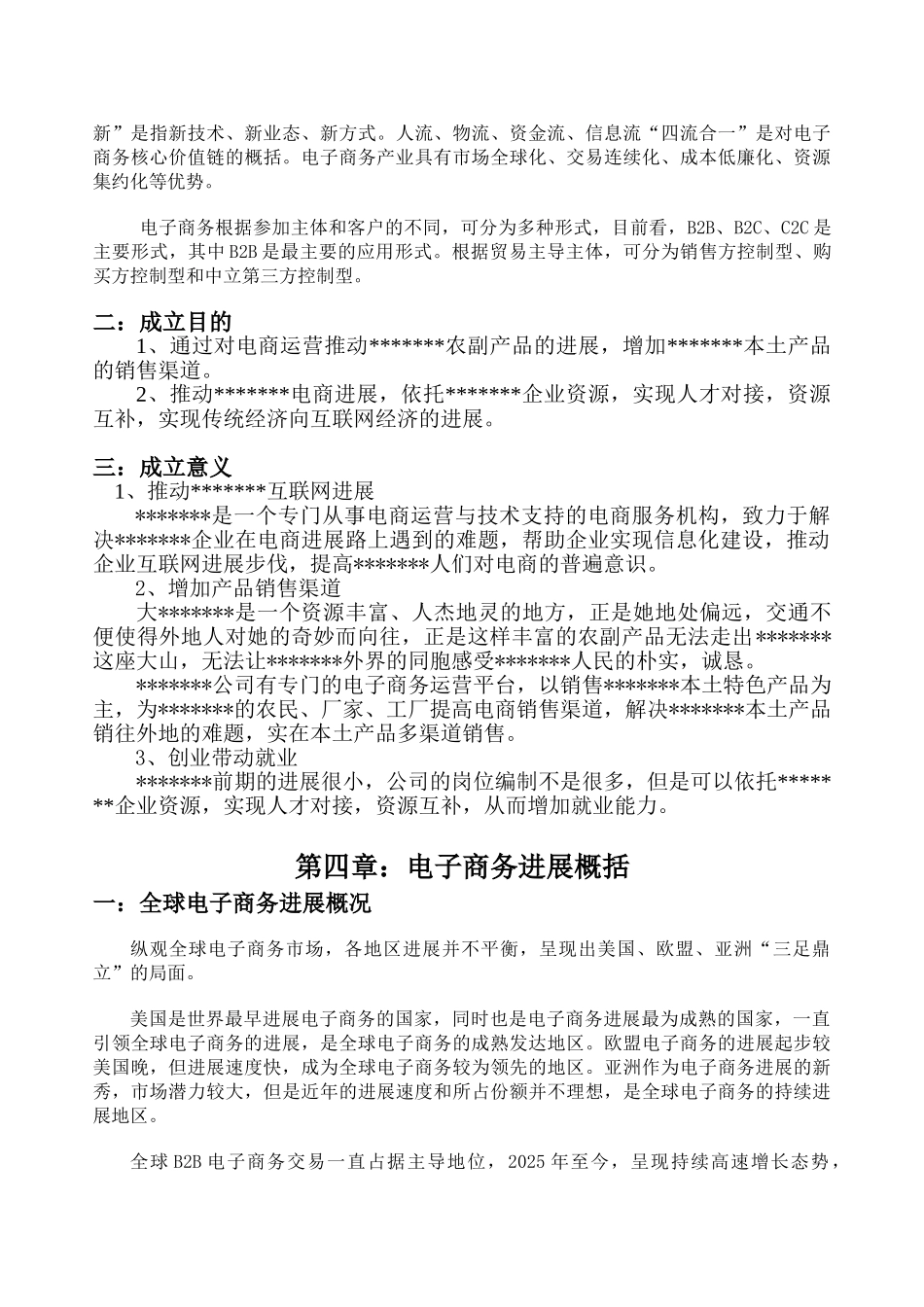 电子商务公司项目创业计划书_第3页