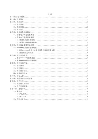 电子商务公司项目创业计划书