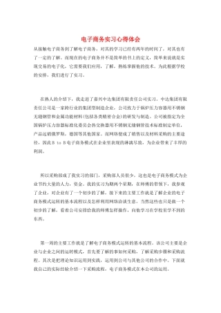 电子商务实习心得体会