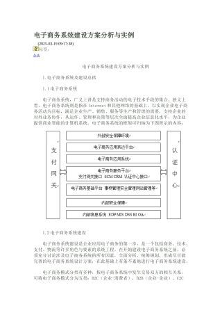 电子商务系统建设方案分析与实例