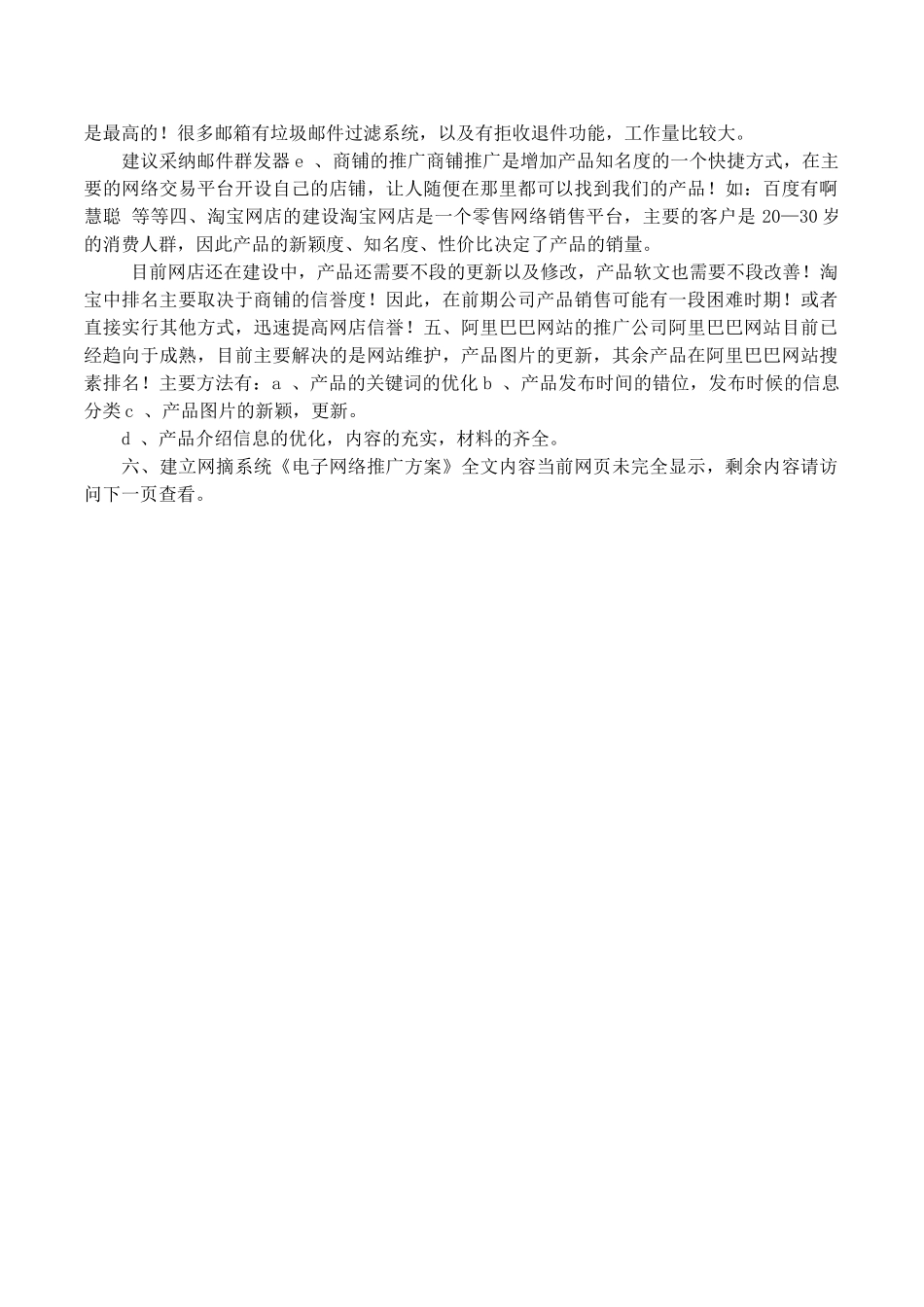 电子网络推广方案_第2页