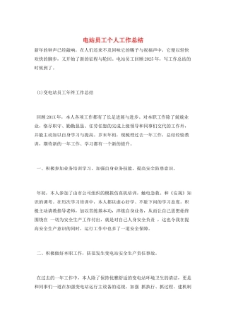 电站员工个人工作总结