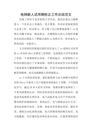 电网新人试用期转正工作总结范文
