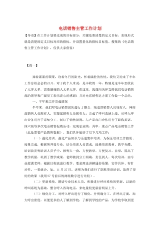 电话销售主管工作计划
