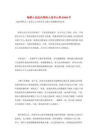 畅销小说追风筝的人读书心得2000字