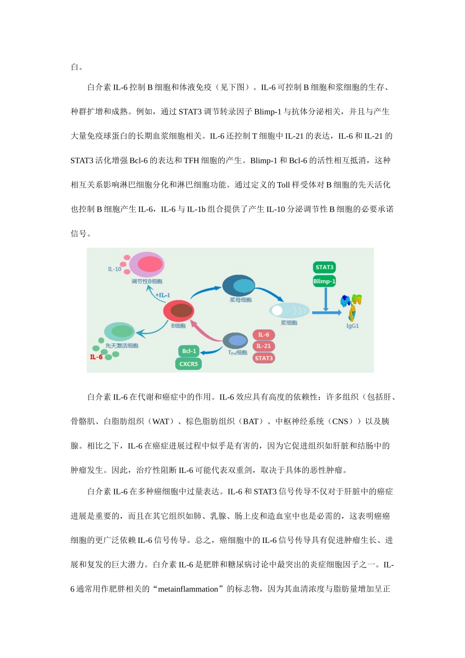 白介素IL6在疾病方面研究进展_第2页