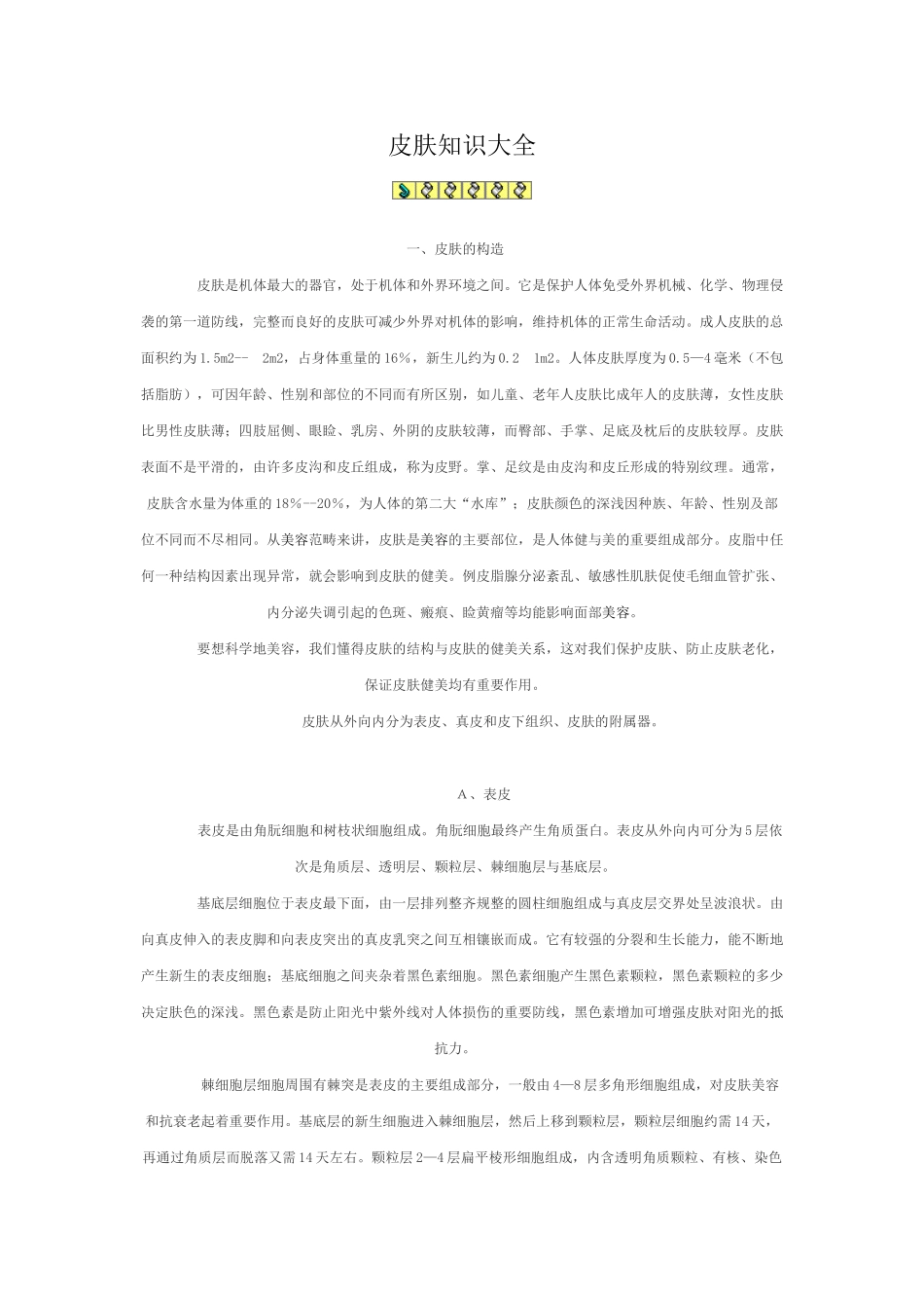 皮肤知识大全_第1页