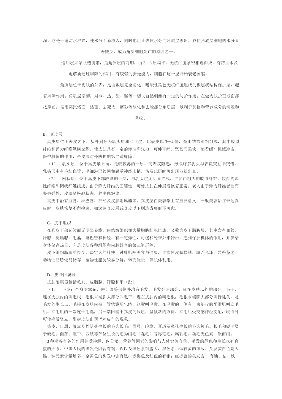 皮肤知识大全_第2页