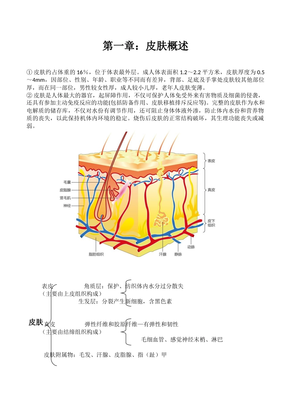 皮肤管理基础知识_第1页