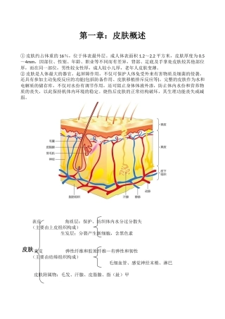 皮肤管理基础知识