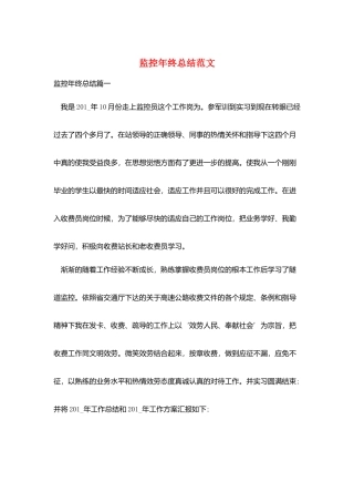 监控年终总结范文