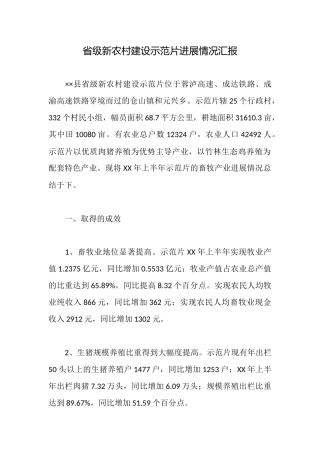 省级新农村建设示范片发展情况汇报