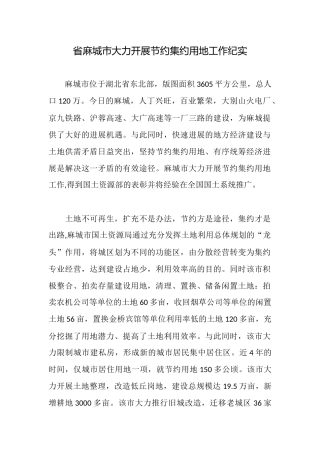 省麻城市大力开展节约集约用地工作纪实