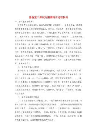 督查室干部试用期满转正述职报告
