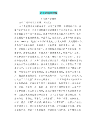 矿长团拜会致辞