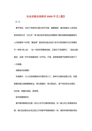 社会实践总结报告3000字