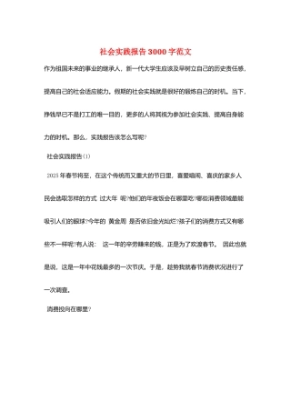 社会实践报告3000字范文
