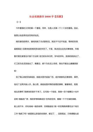 社会实践报告3000字【四篇】