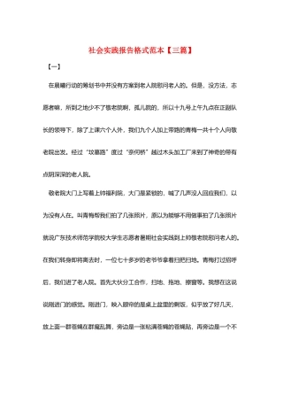 社会实践报告格式范本