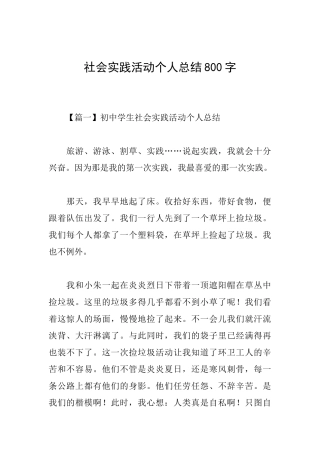 社会实践活动个人总结800字