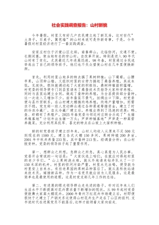 社会实践调查报告：山村新貌
