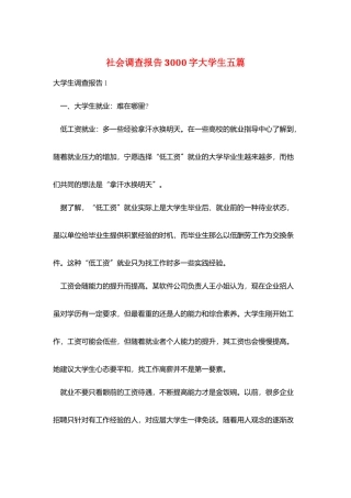 社会调查报告3000字大学生五篇