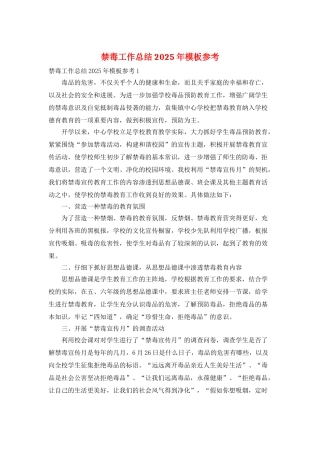 禁毒工作总结2025年模板参考