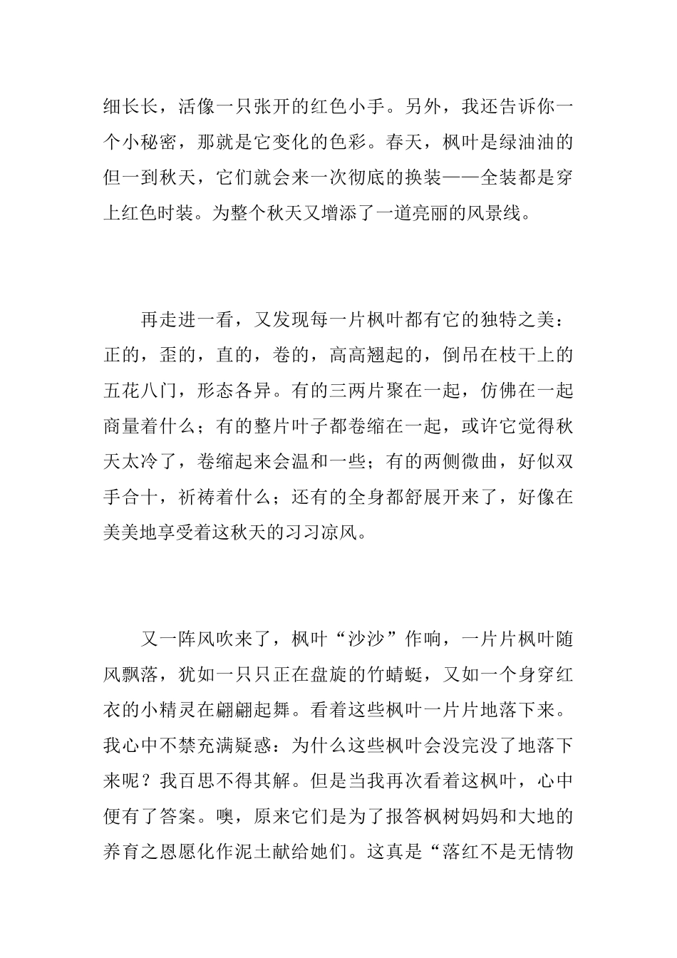 秋天的枫叶初三周记800字_第2页