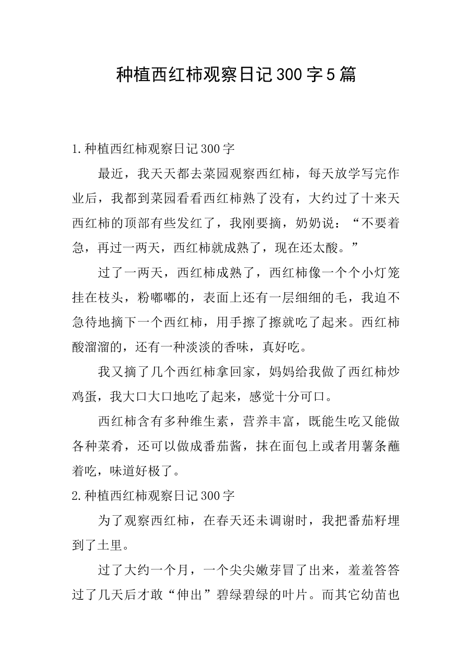 种植西红柿观察日记300字5篇_第1页